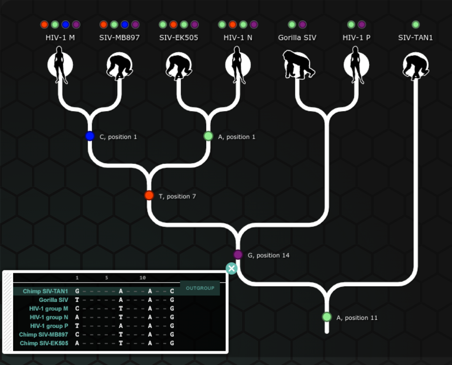 Nova Labs The Evolution Lab Mission 3 Answers